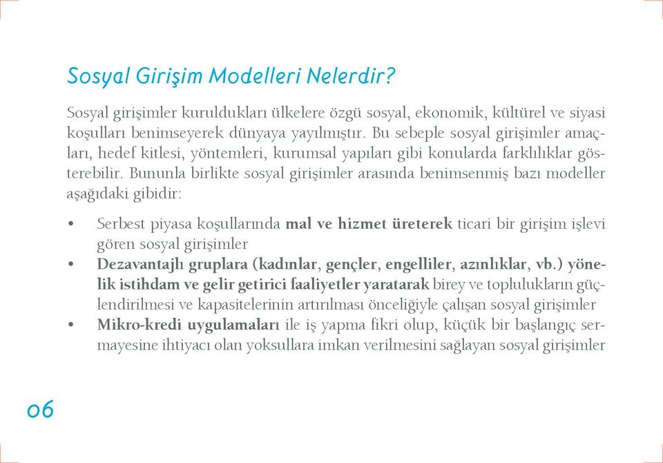 Bununla birlikte sosyal girişimler arasında benimsenmiş bazı modeller aşağıdaki gibidir: Serbest piyasa koşullarında mal ve hizmet üreterek ticari bir girişim işlevi gören sosyal girişimler