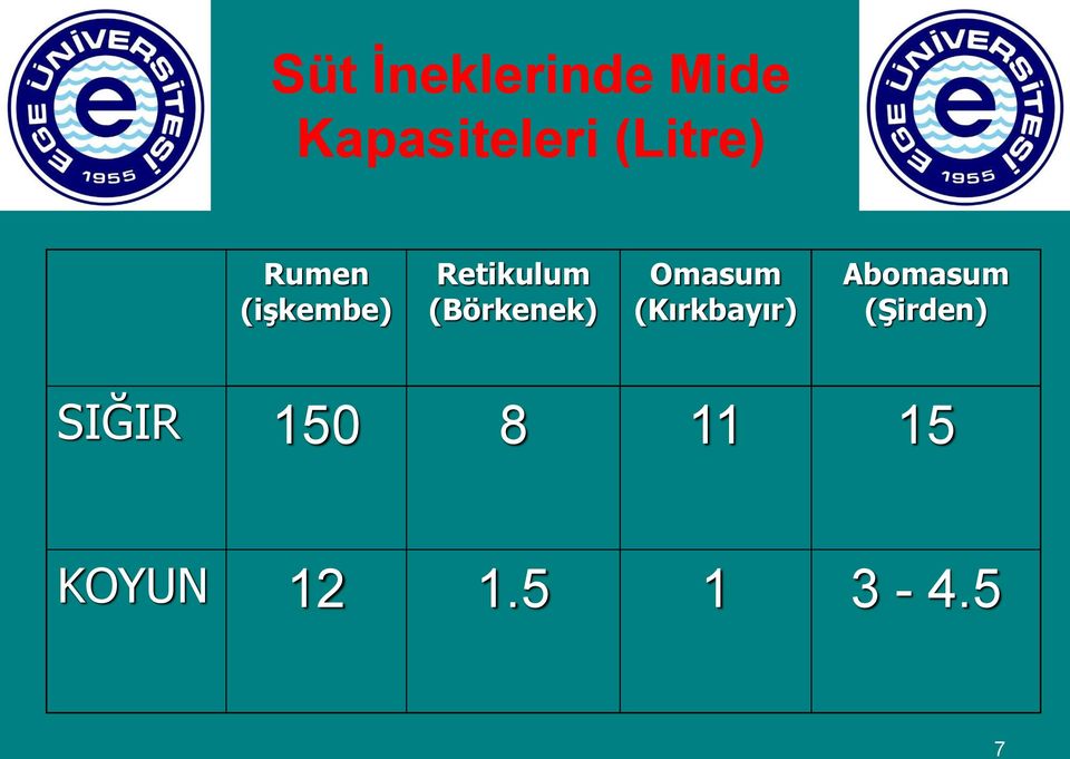 (Börkenek) Omasum (Kırkbayır) Abomasum