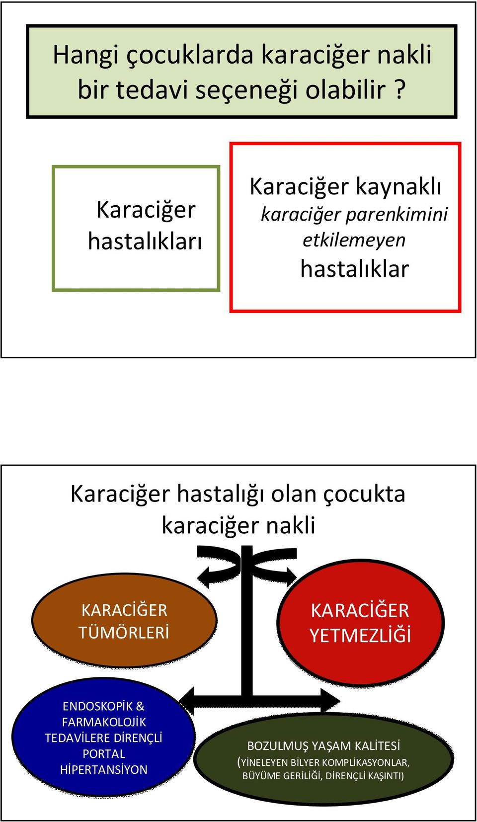 hastalığı olan çocukta karaciğer nakli KARACİĞER TÜMÖRLERİ KARACİĞER YETMEZLİĞİ ENDOSKOPİK &