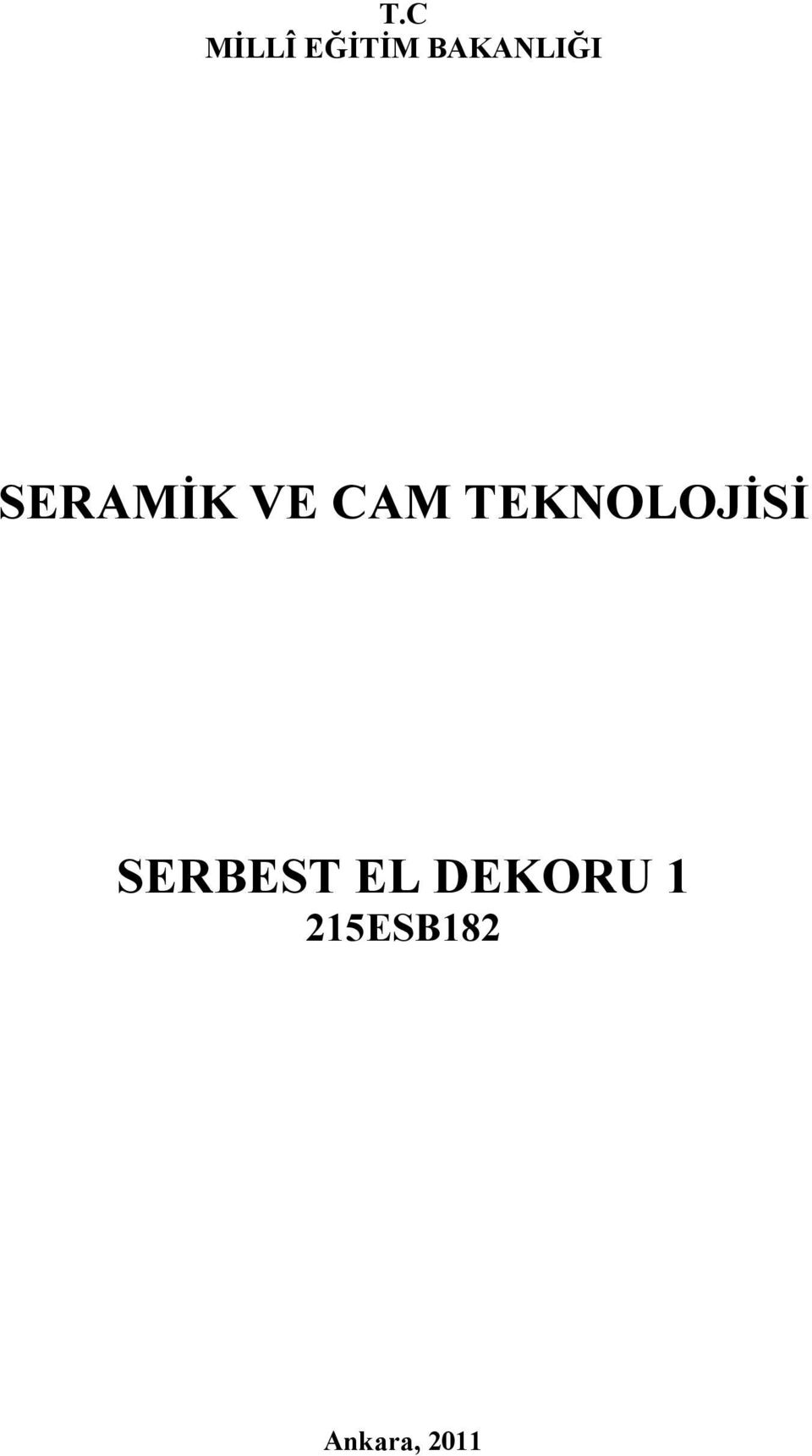 CAM TEKNOLOJİSİ SERBEST