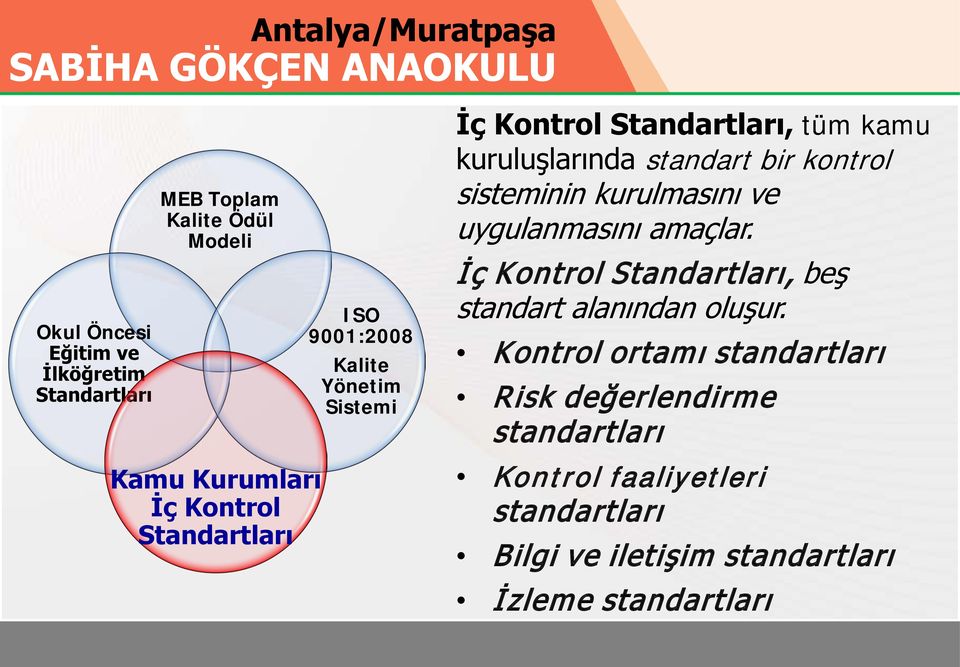 İç Kontrol, beş standart alanından oluşur.