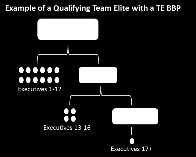 Team Elite BBP 1. TE BBP hesabı, ilk ayında Ana Hesap ve BD BBP hesabı arasında birleştirilmiş şekilde 16 adet ilk-nesil Kopan Executive barındıran, Ana Hesap için kabul görmüş hesaplardır.