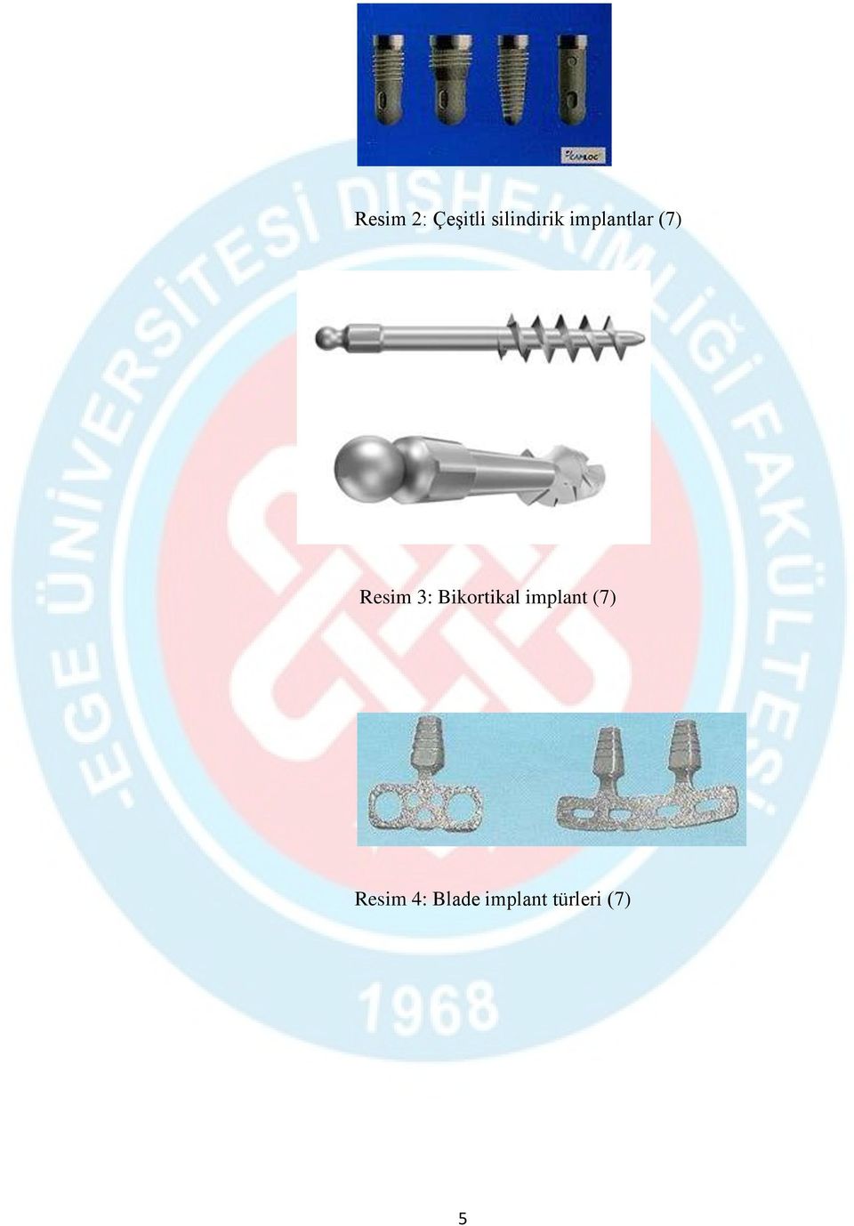 Bikortikal implant (7)