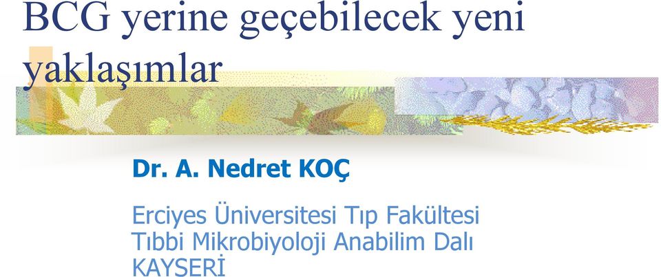 Nedret KOÇ Erciyes Üniversitesi