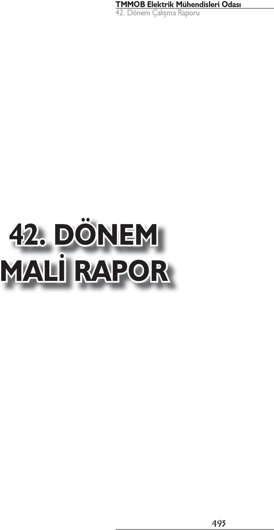 RAPOR 493