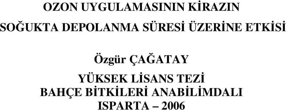 Özgür ÇAĞATAY YÜKSEK LİSANS TEZİ