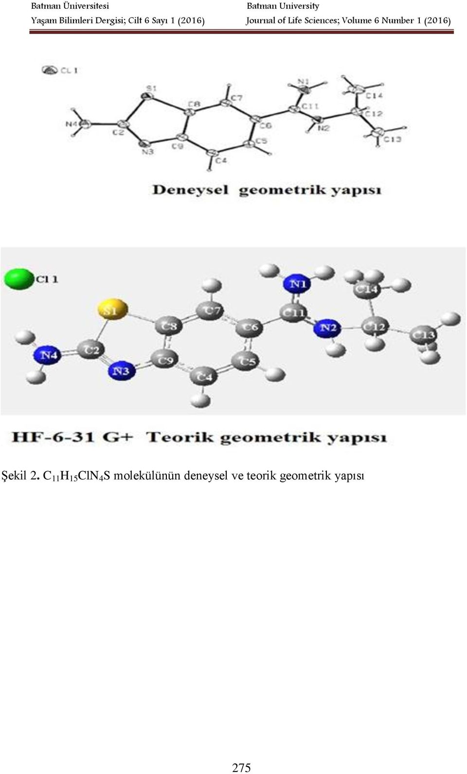 molekülünün