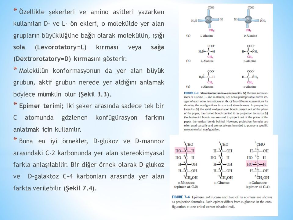 * Molekülün konformasyonun da yer alan büyük grubun, aktif grubun nerede yer aldığını anlamak böylece mümkün olur (Şekil 3.3).