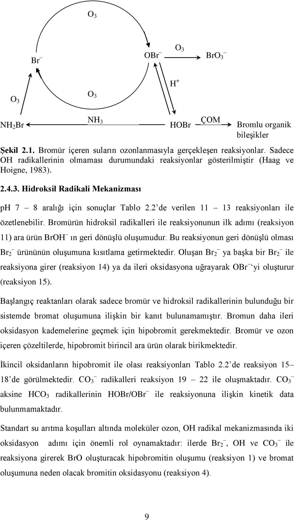 2 de verilen 11 13 reaksiyonları ile özetlenebilir. Bromürün hidroksil radikalleri ile reaksiyonunun ilk adımı (reaksiyon 11) ara ürün BrOH ın geri dönüşlü oluşumudur.