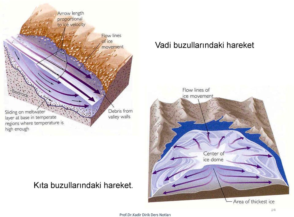 hareket Kıta 