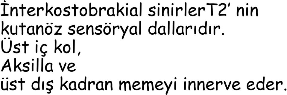 dallarıdır.