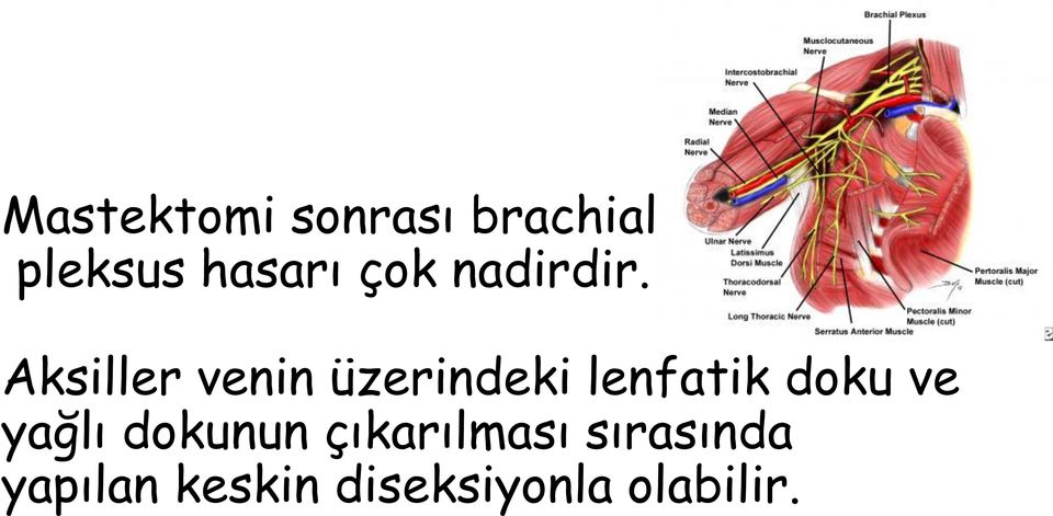 Aksiller venin üzerindeki lenfatik doku ve