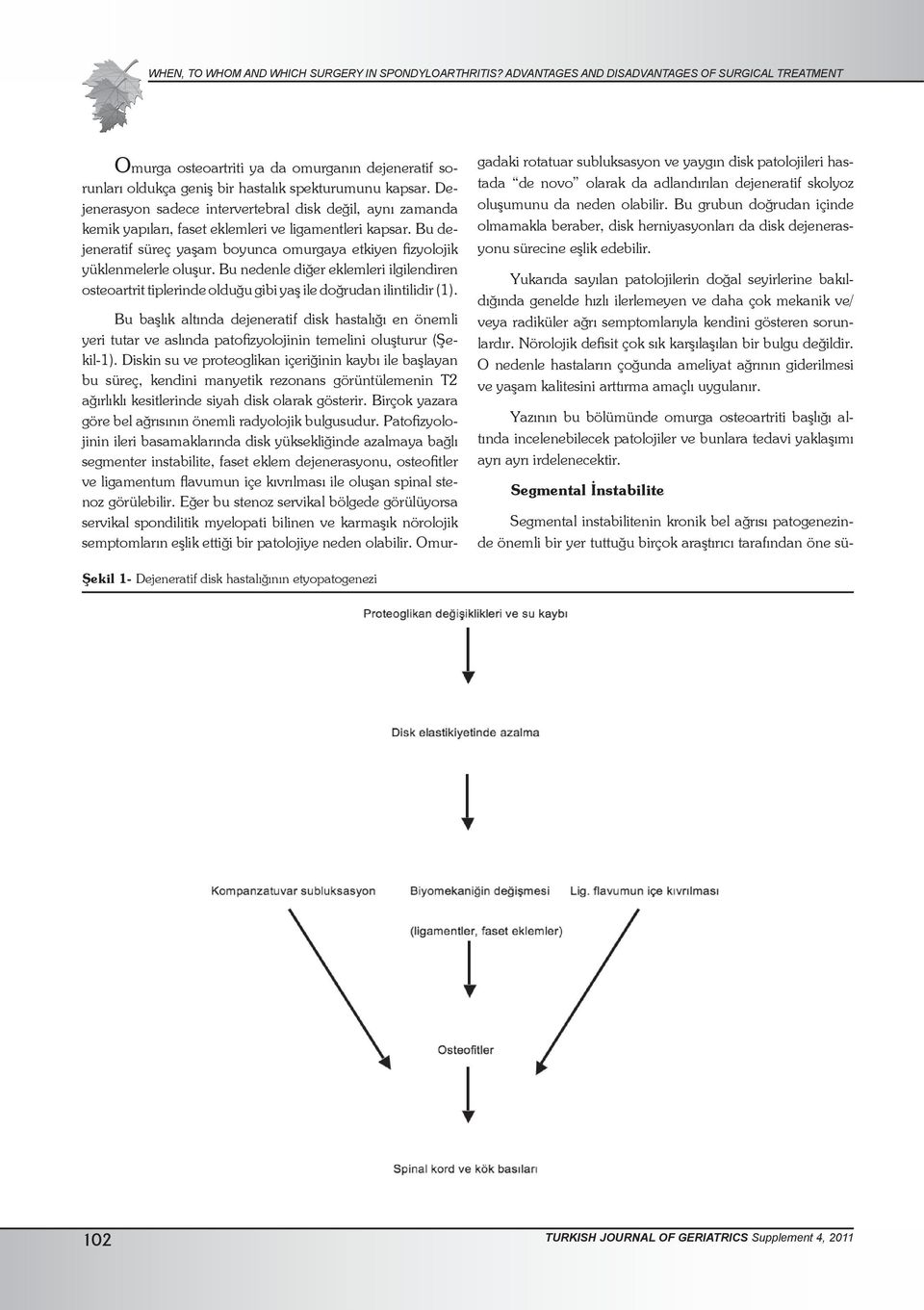 Dejenerasyon sadece intervertebral disk değil, aynı zamanda kemik yapıları, faset eklemleri ve ligamentleri kapsar. Bu dejeneratif süreç yaşam boyunca omurgaya etkiyen fizyolojik yüklenmelerle oluşur.