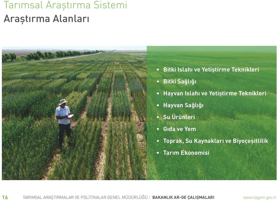 Gıda ve Yem Toprak, Su Kaynakları ve Biyoçeşitlilik Tarım Ekonomisi 16 TARIMSAL