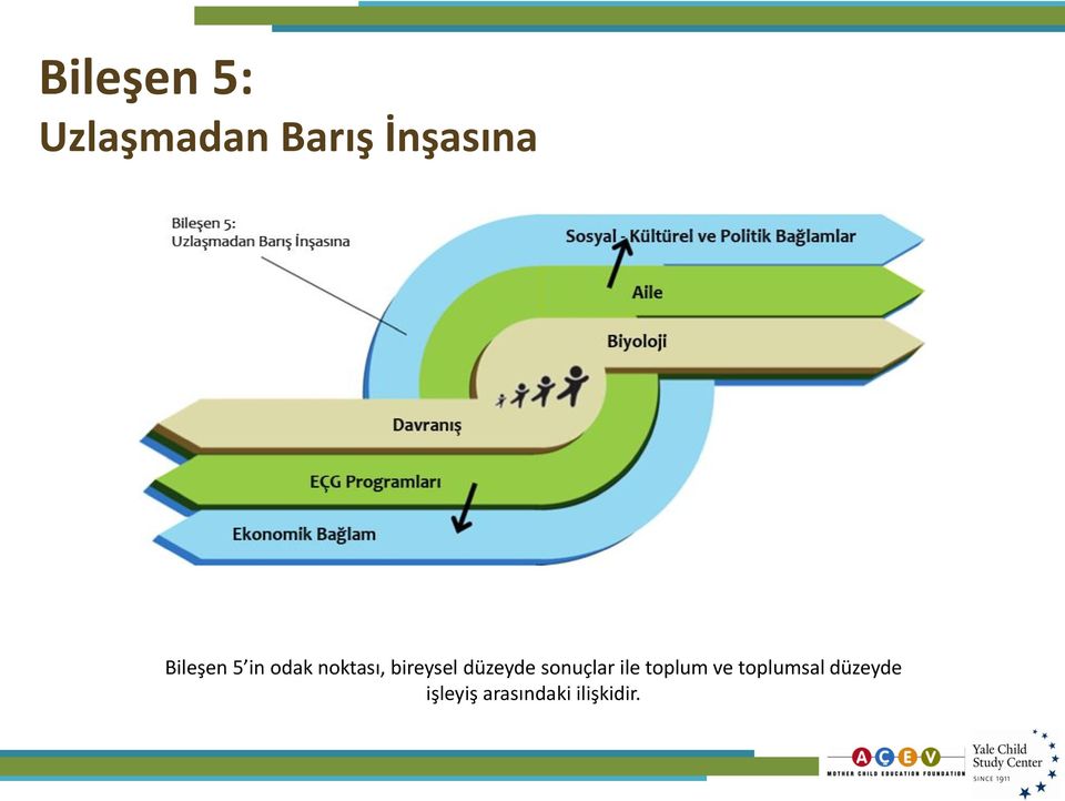 düzeyde sonuçlar ile toplum ve