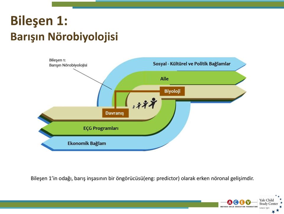 inşasının bir öngörücüsü(eng: