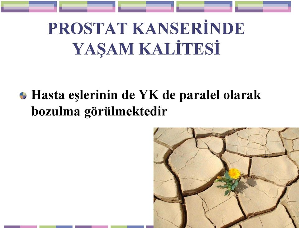 eşlerinin de YK de