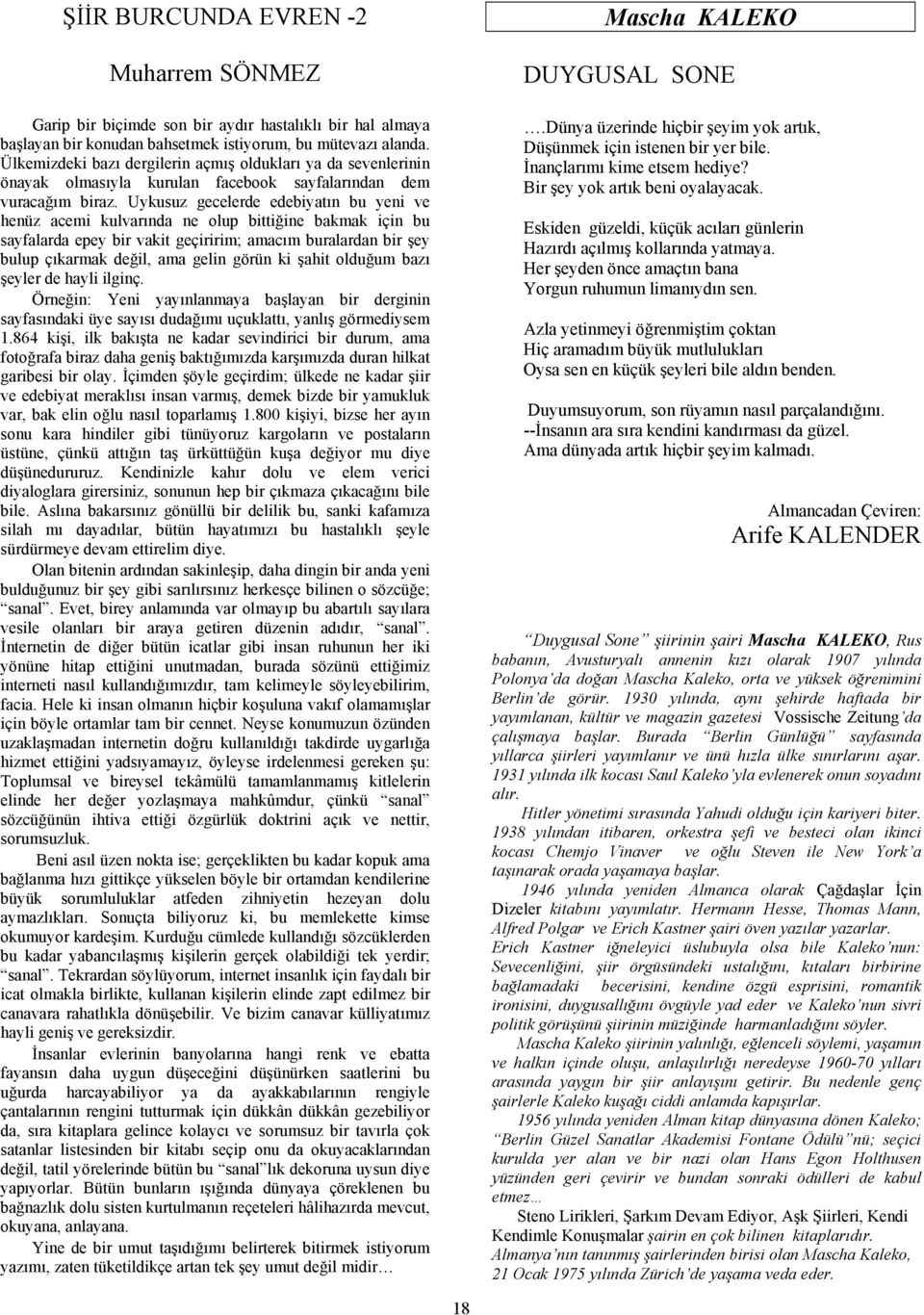 Uykusuz gecelerde edebiyatın bu yeni ve henüz acemi kulvarında ne olup bittiğine bakmak için bu sayfalarda epey bir vakit geçiririm; amacım buralardan bir şey bulup çıkarmak değil, ama gelin görün ki