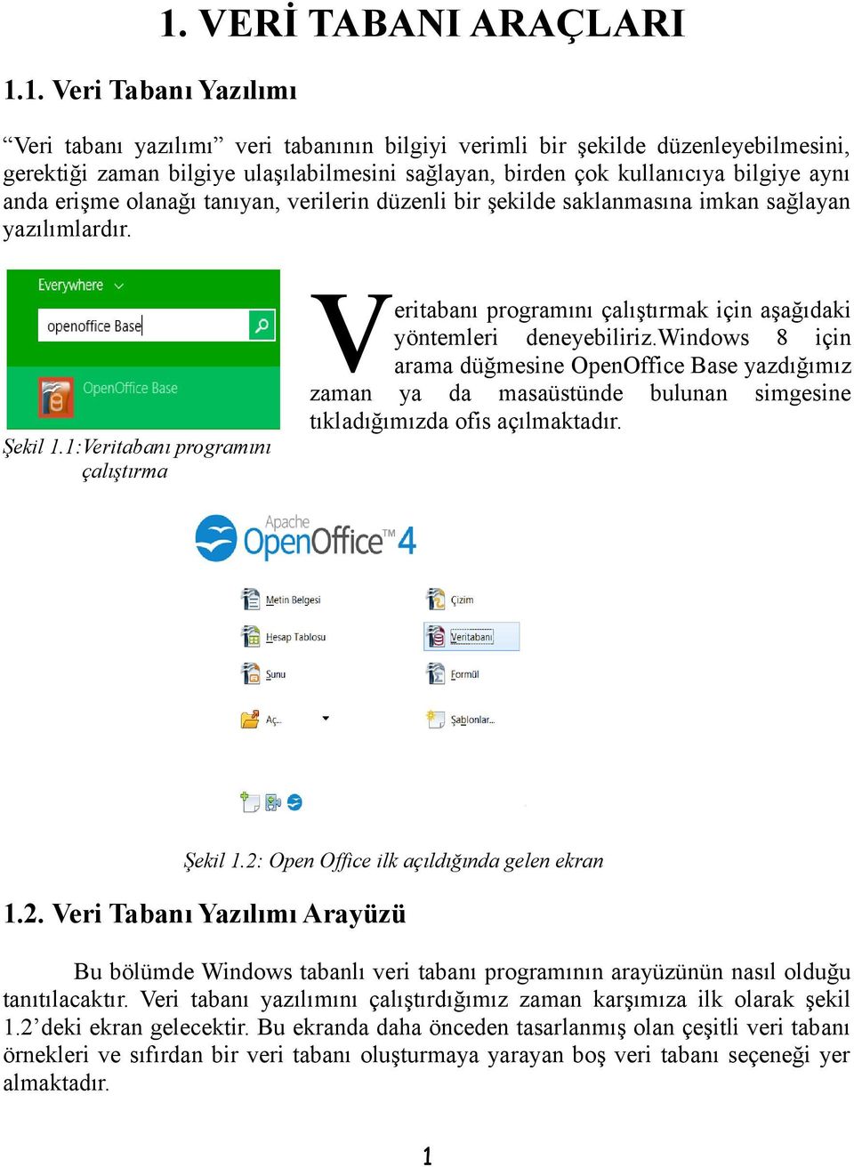 erişme olanağı tanıyan, verilerin düzenli bir şekilde saklanmasına imkan sağlayan yazılımlardır. v Şekil 1.