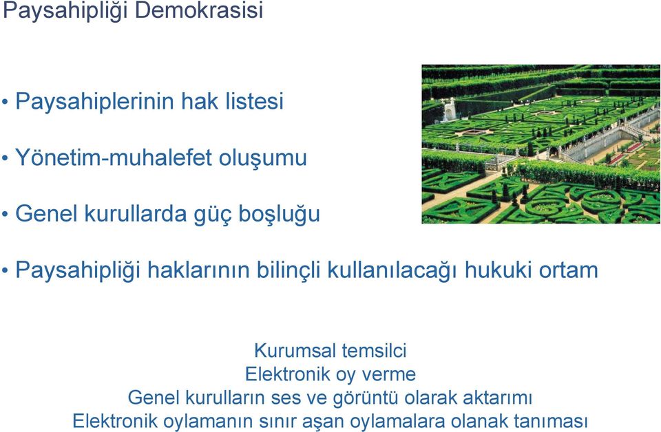 kullanılacağı hukuki ortam Kurumsal temsilci Elektronik oy verme Genel