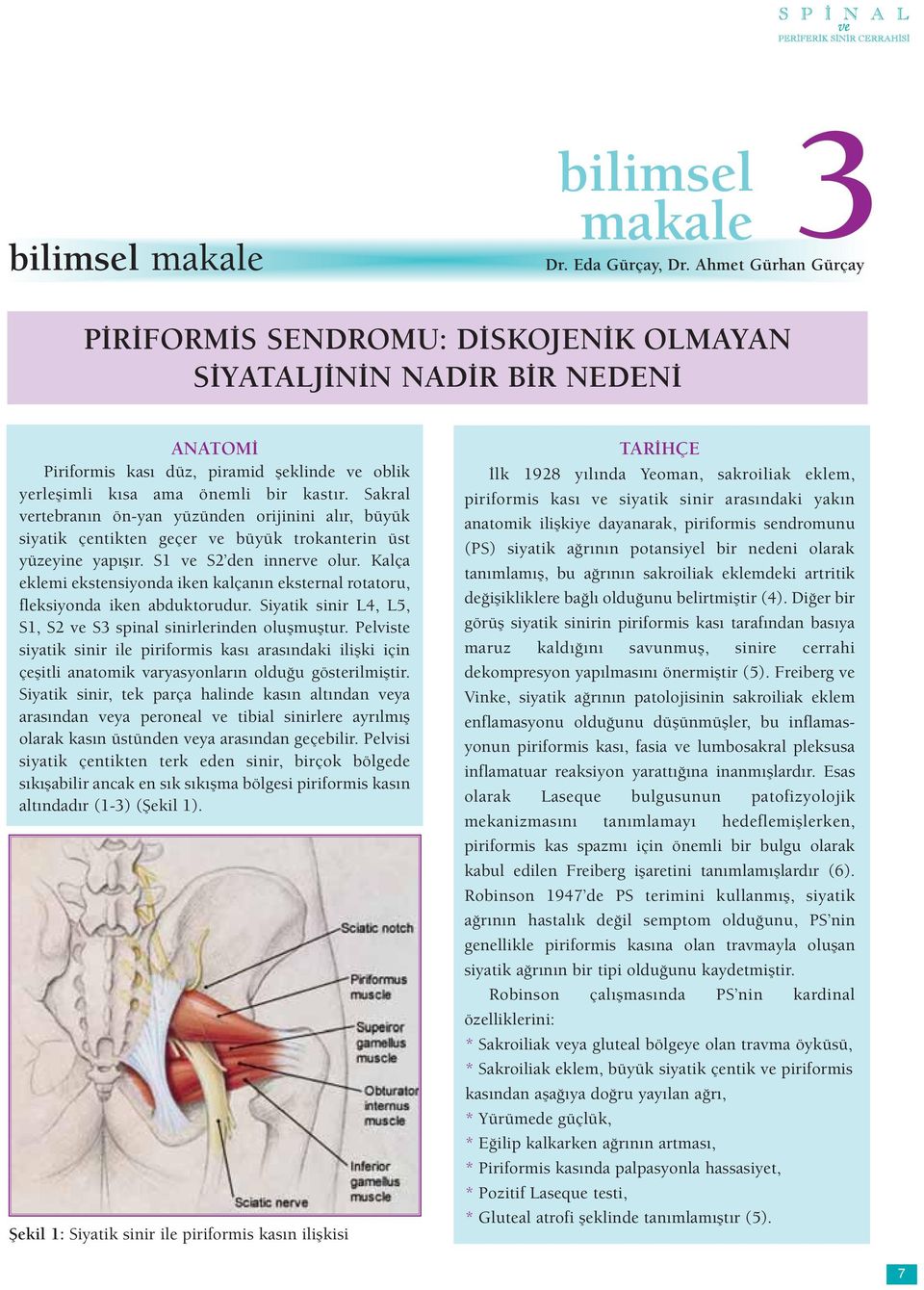 Sakral vertebranın ön-yan yüzünden orijinini alır, büyük siyatik çentikten geçer ve büyük trokanterin üst yüzeyine yapışır. S1 ve S2 den innerve olur.