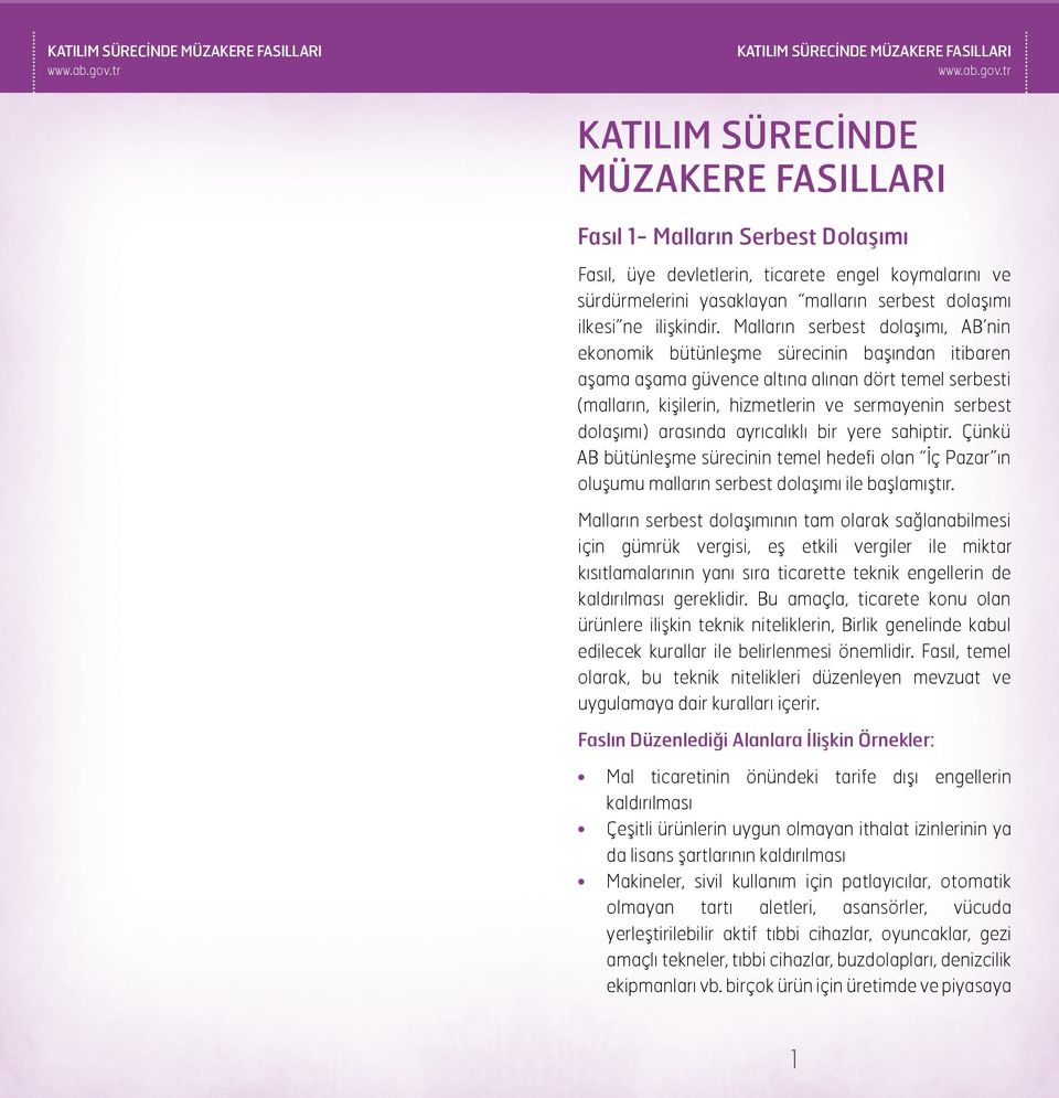 dolaşımı) arasında ayrıcalıklı bir yere sahiptir. Çünkü AB bütünleşme sürecinin temel hedefi olan İç Pazar ın oluşumu malların serbest dolaşımı ile başlamıştır.