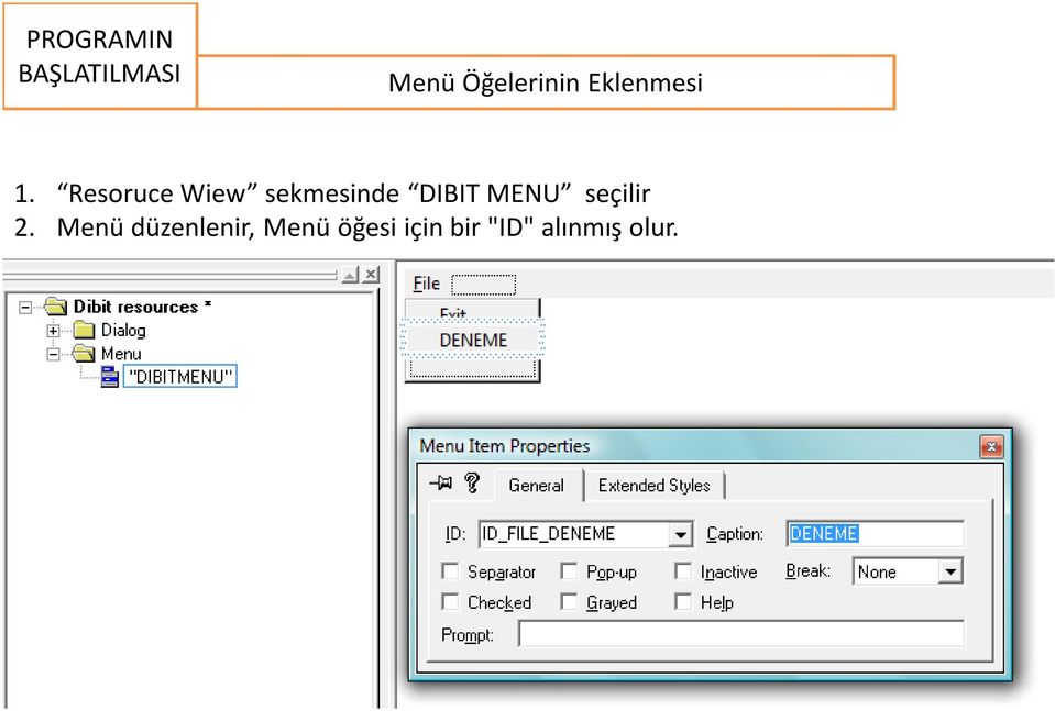 ResoruceWiew sekmesinde DIBIT MENU