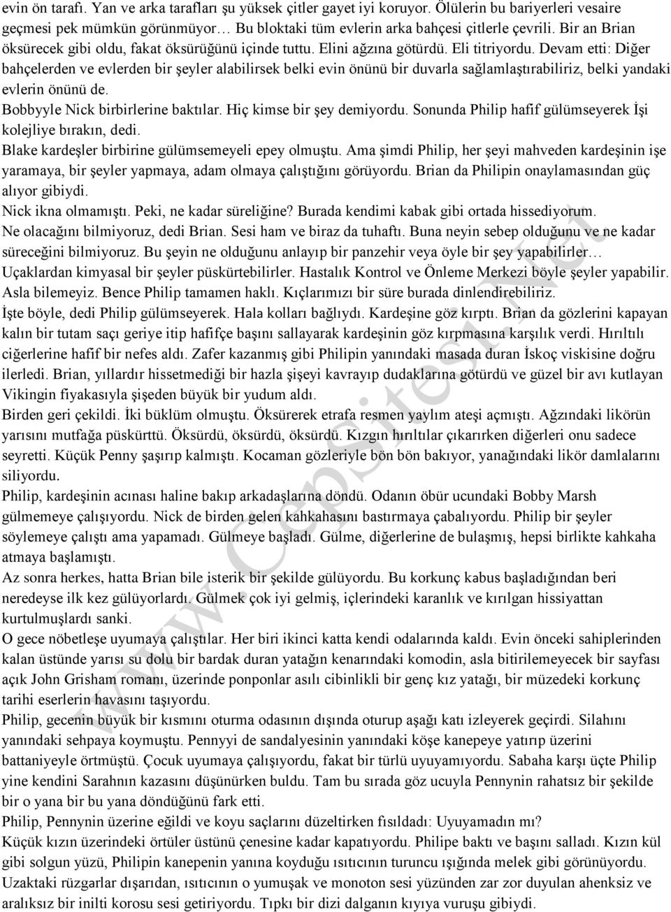 Devam etti: Diğer bahçelerden ve evlerden bir şeyler alabilirsek belki evin önünü bir duvarla sağlamlaştırabiliriz, belki yandaki evlerin önünü de. Bobbyyle Nick birbirlerine baktılar.