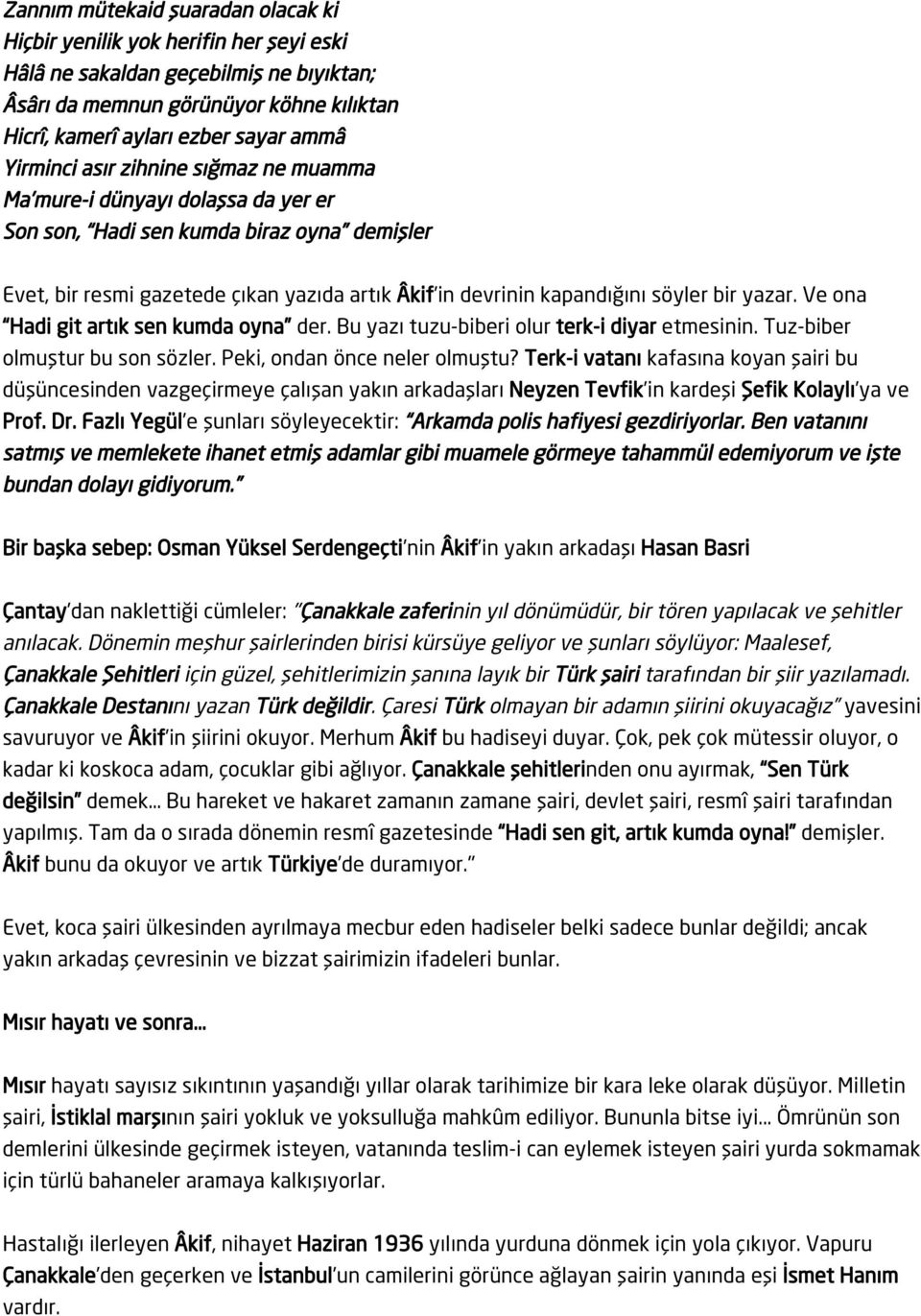 bir yazar. Ve ona Hadi git artık sen kumda oyna der. Bu yazı tuzu-biberi olur terk-i diyar etmesinin. Tuz-biber olmuştur bu son sözler. Peki, ondan önce neler olmuştu?