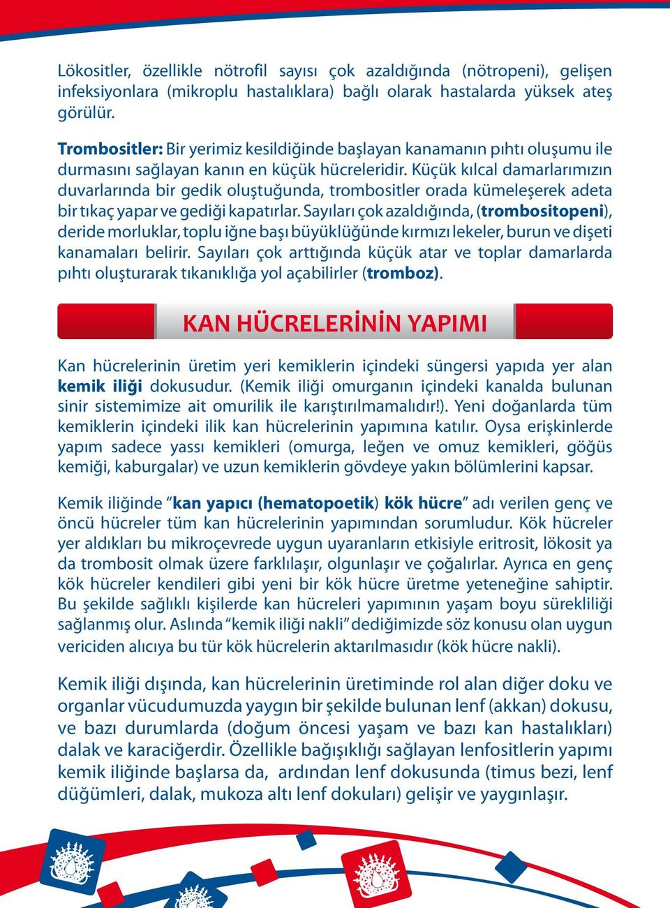 Küçük kılcal damarlarımızın duvarlarında bir gedik oluştuğunda, trombositler orada kümeleşerek adeta bir tıkaç yapar ve gediği kapatırlar.