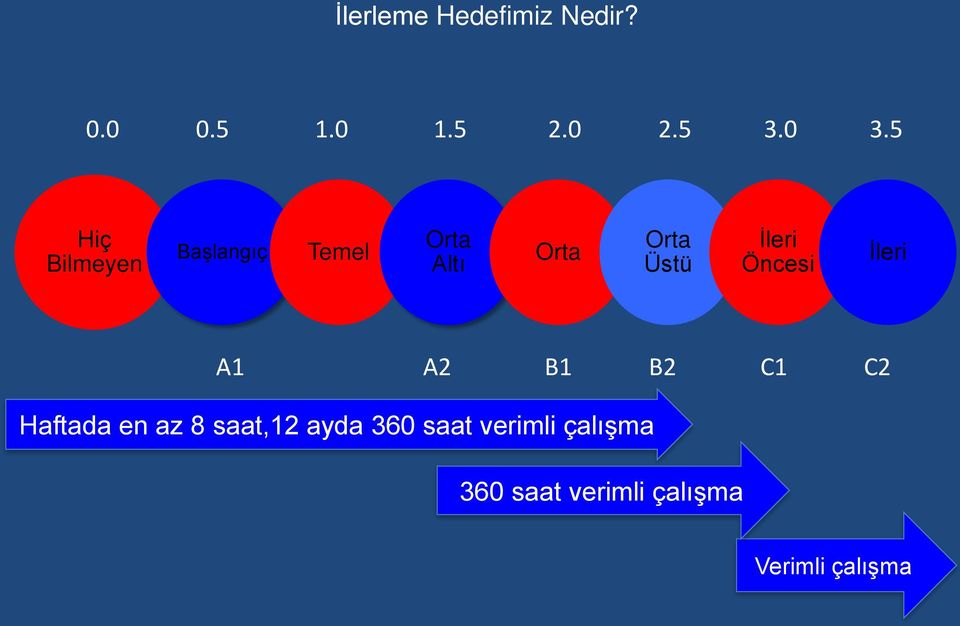 İleri Öncesi İleri A1 A2 B1 B2 C1 C2 Haftada en az 8 saat,12