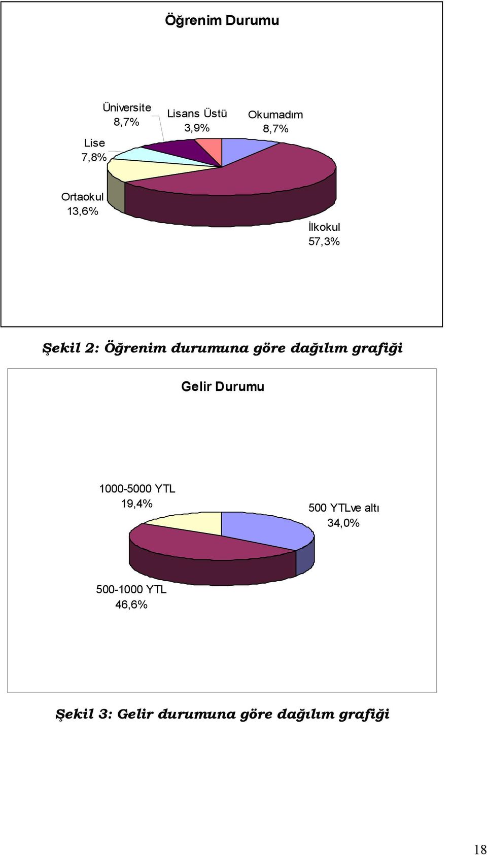 dağılım grafiği Gelir Durumu 1000-5000 YTL 19,4% 500 YTLve altı