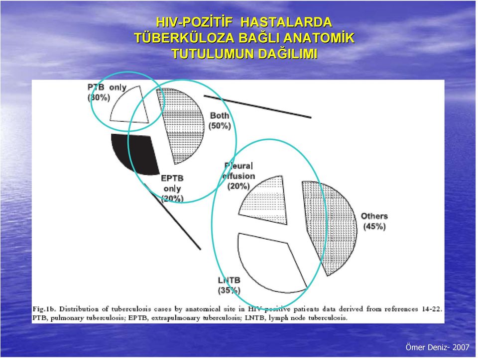 BAĞLI ANATOMİK