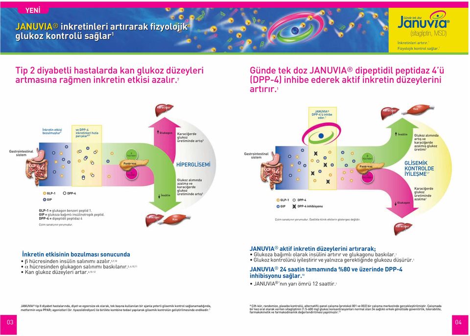 1 Kas Gastrointestinal sistem nkretin etkisi bozulmufltur 7 GLP-1 GIP DPP-4 ve DPP-4 inkretinleri h zla parçalar 8,9 GLP-1 = glukagon benzeri peptid 1. GIP = glukoza ba mlı insülinotropik peptid.