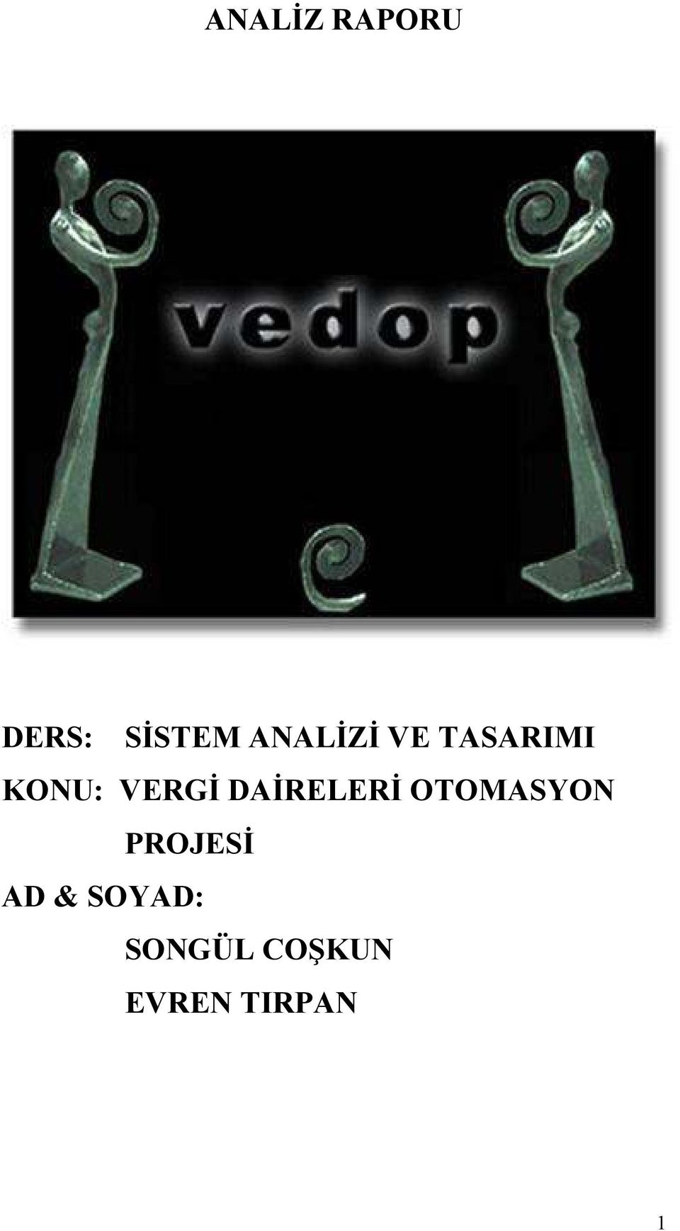 VERGİ AİRELERİ OTOMASYON