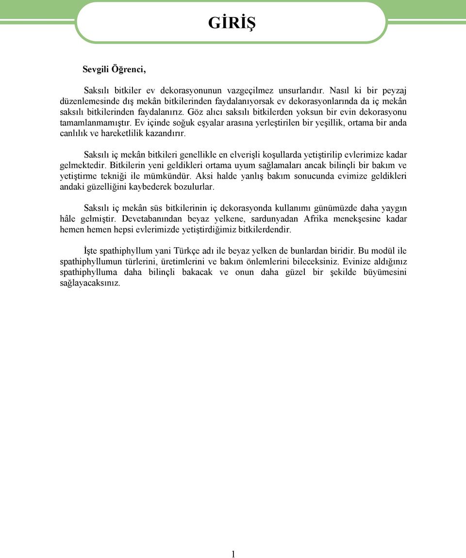 Göz alıcı saksılı bitkilerden yoksun bir evin dekorasyonu tamamlanmamıştır. Ev içinde soğuk eşyalar arasına yerleştirilen bir yeşillik, ortama bir anda canlılık ve hareketlilik kazandırır.