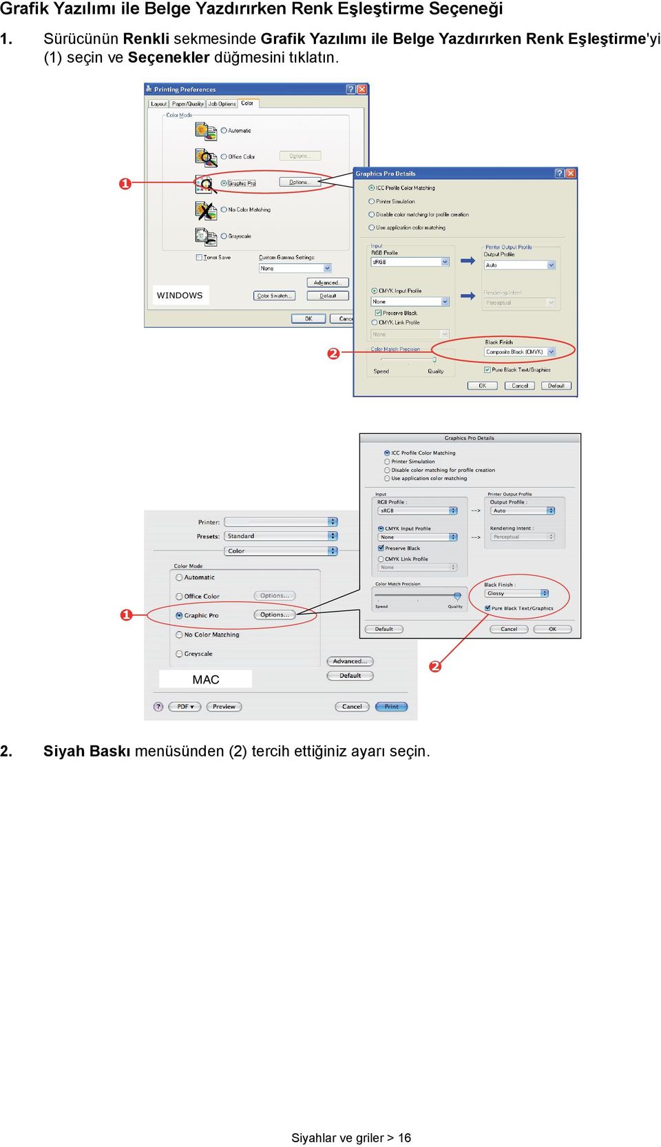 Eşleştirme'yi () seçin ve Seçenekler düğmesini tıklatın. WINDOWS MAC.