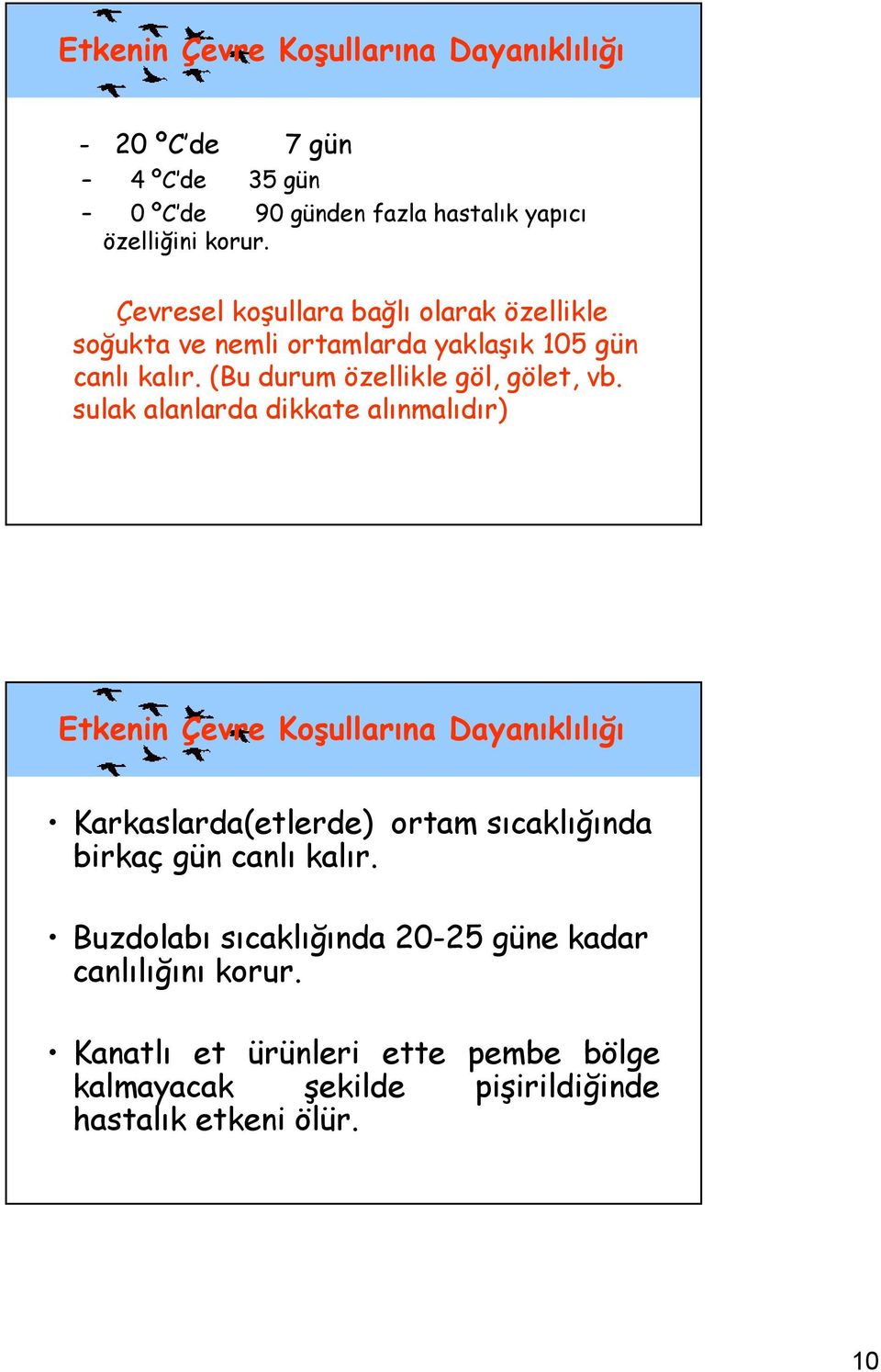 sulak alanlarda dikkate alınmalıdır) Etkenin Çevre Koşullarına Dayanıklılığı Karkaslarda(etlerde) ortam sıcaklığında birkaç gün canlı kalır.