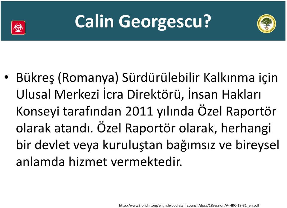 Hakları Konseyi tarafından 2011 yılında Özel Raportör olarak atandı.