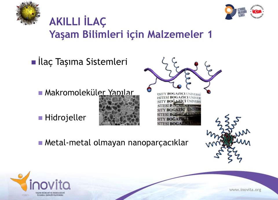 Sistemleri Makromoleküler Yapılar