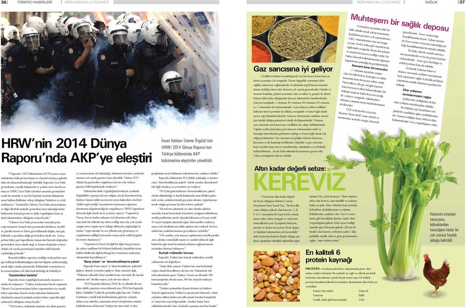 HRW, Gezi Parkı eylemleri sırasında göstericileri ısrarlı bir tutumla ve sert bir biçimde bastıran hükümetin insan hakları ihlallerine sebep olduğunu belirtiyor ve şöyle sürdürüyor: İstanbul da