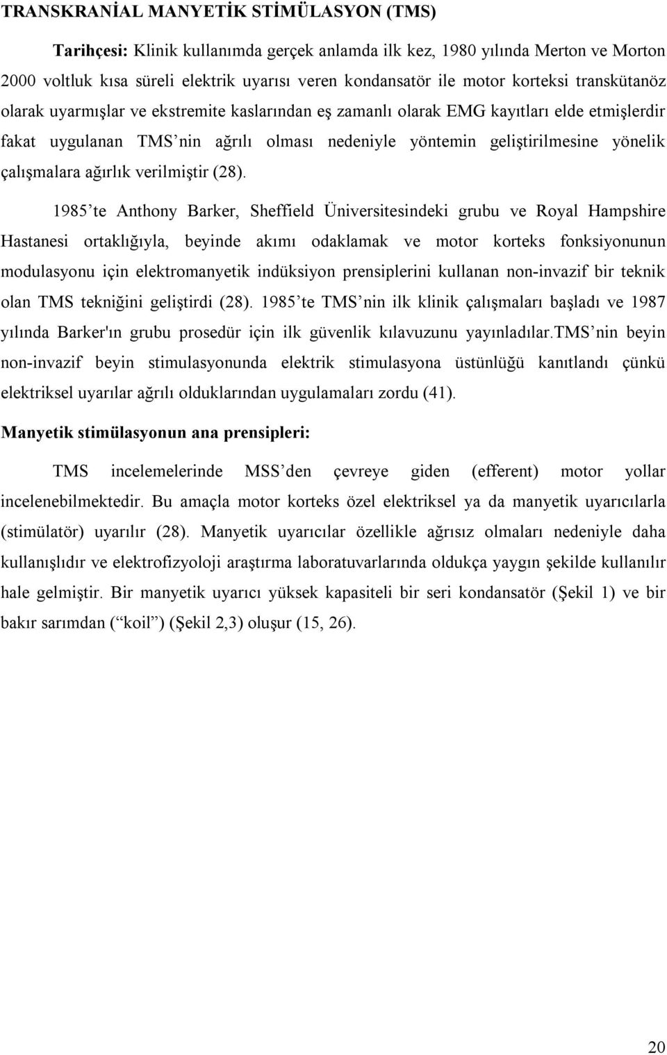 çalışmalara ağırlık verilmiştir (28).