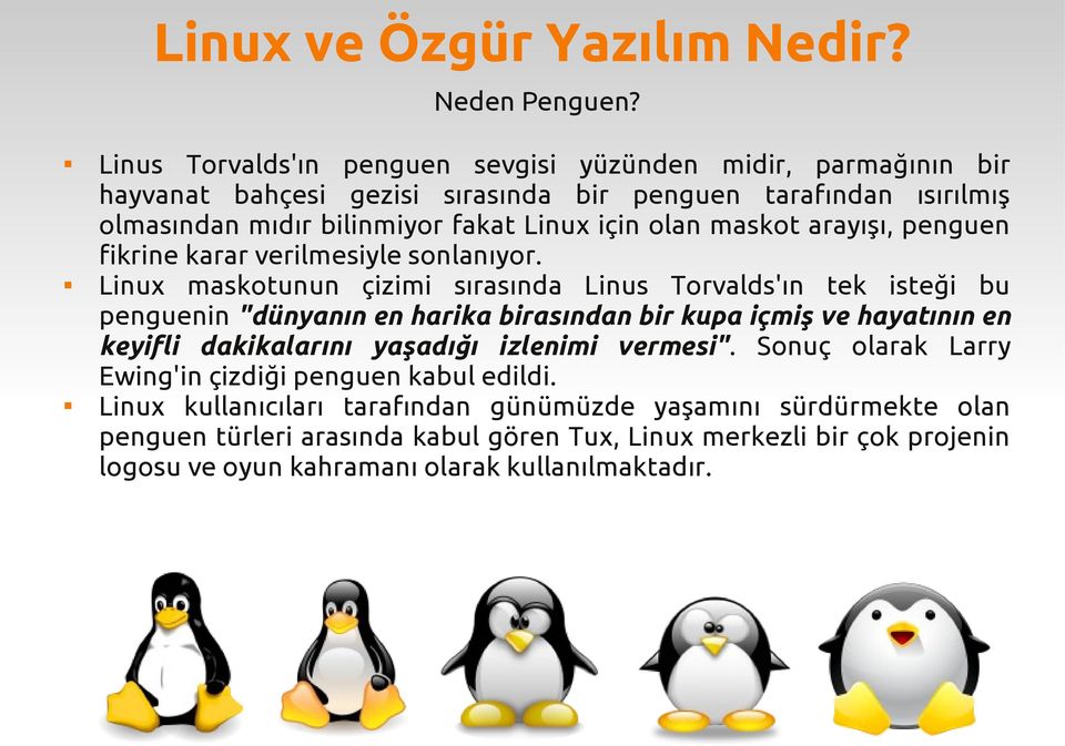 için olan maskot arayışı, penguen fikrine karar verilmesiyle sonlanıyor.