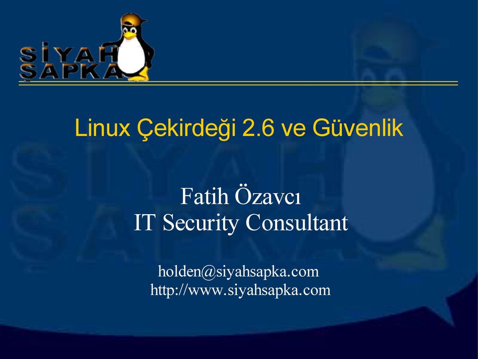 IT Security Consultant