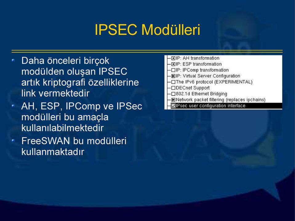 IPComp ve IPSec modülleri bu amaçla