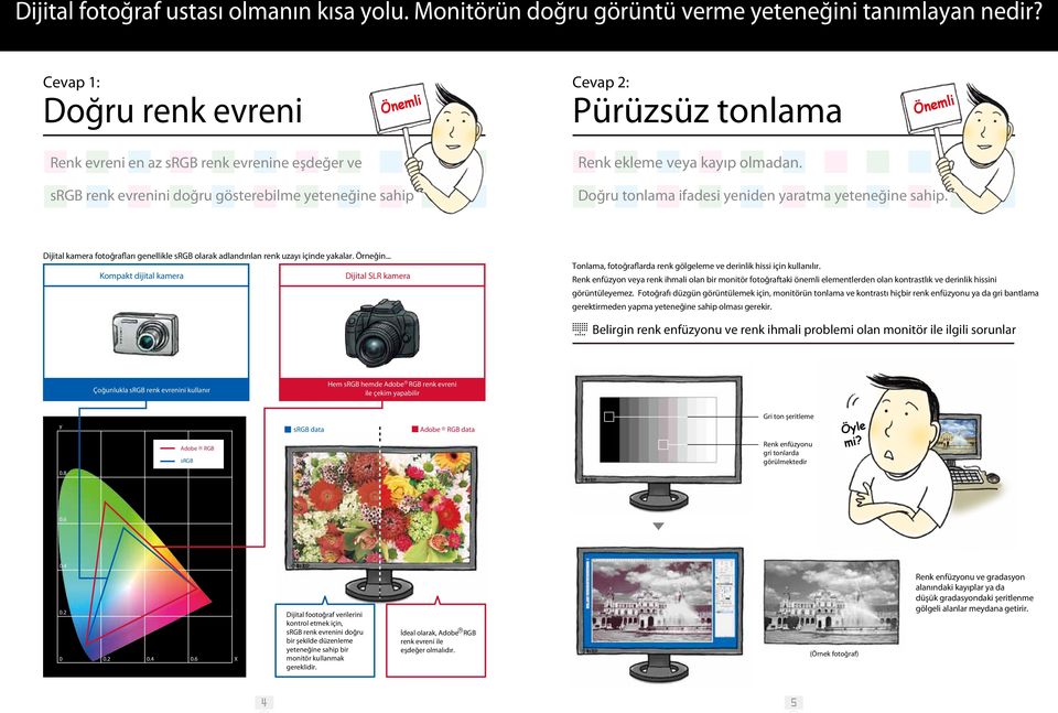 renk evrenini doğru gösterebilme yeteneğine sahip Doğru tonlama ifadesi yeniden yaratma yeteneğine sahip. Dijital kamera fotoğrafları genellikle olarak adlandırılan renk uzayı içinde yakalar. Örneğin.