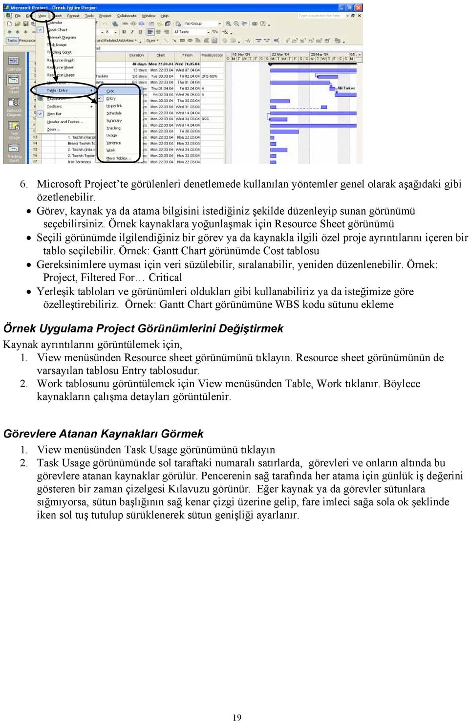 Örnek kaynaklara yoğunlaşmak için Resource Sheet görünümü Seçili görünümde ilgilendiğiniz bir görev ya da kaynakla ilgili özel proje ayrıntılarını içeren bir tablo seçilebilir.