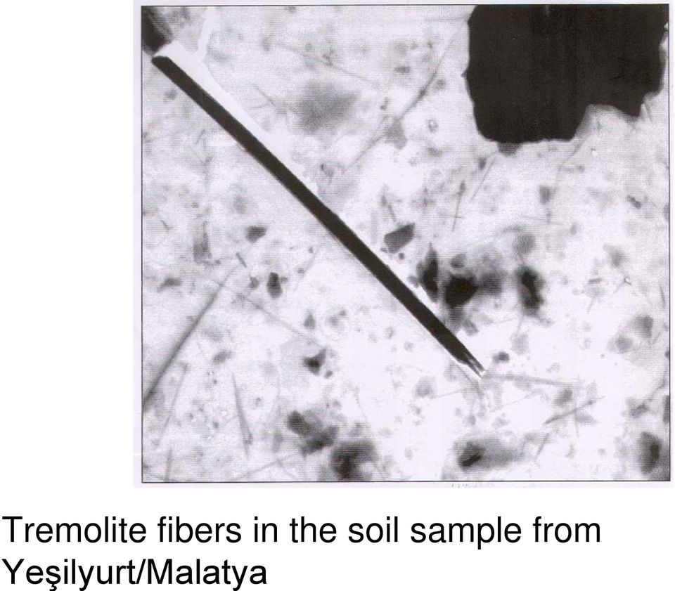 soil sample