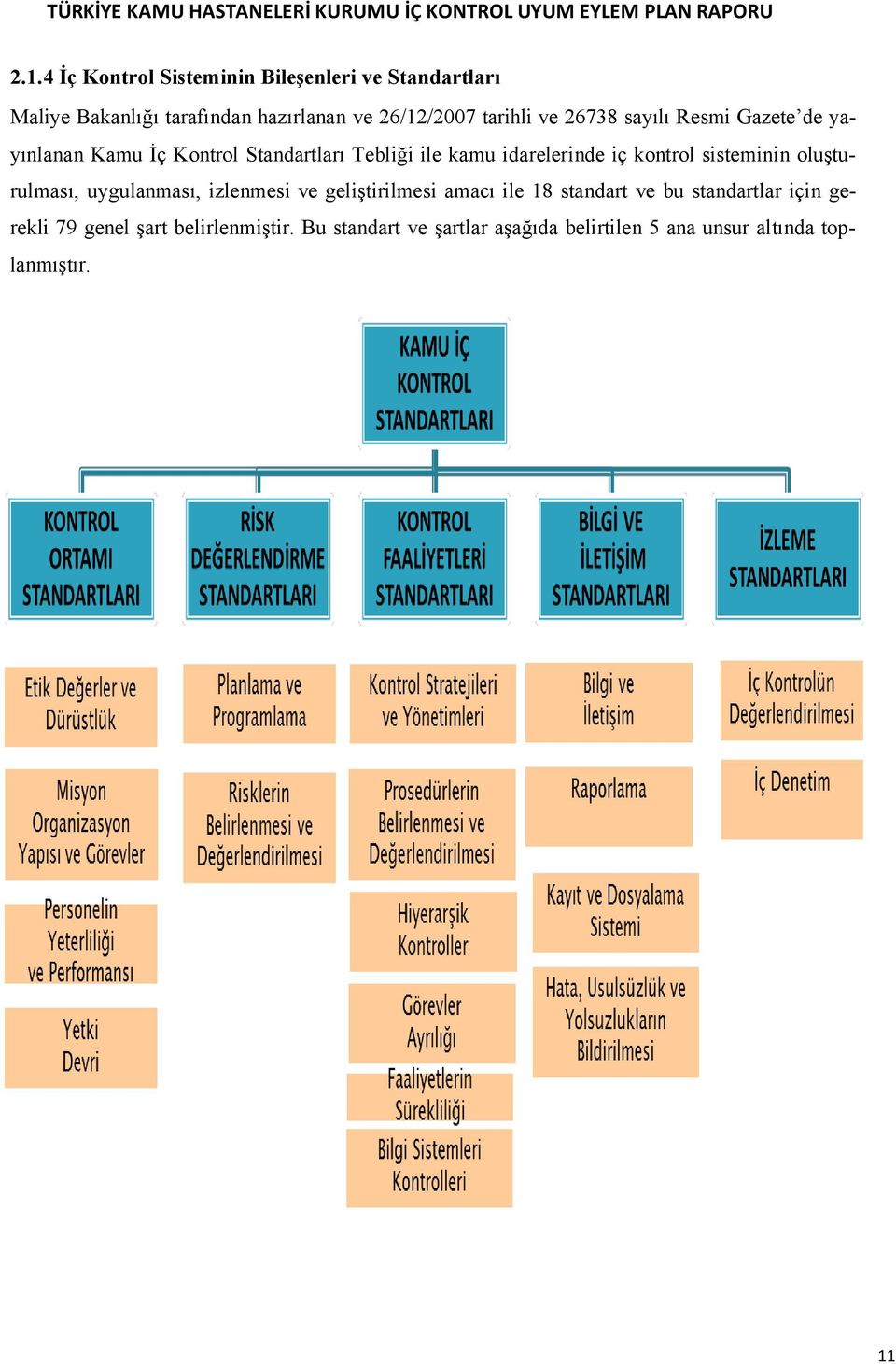 kontrol sisteminin oluşturulması, uygulanması, izlenmesi ve geliştirilmesi amacı ile 18 standart ve bu standartlar