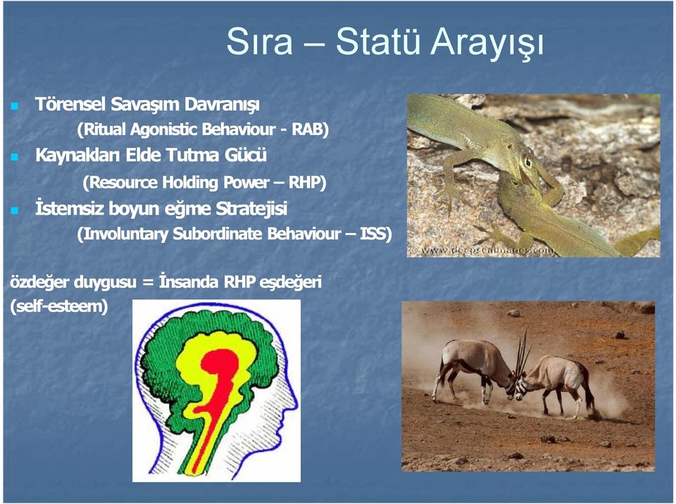 RHP) İstemsiz boyun eğme Stratejisi (Involuntary Subordinate